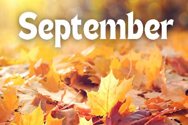 இந்த மாதங்களில் பிறந்தவர்களுக்கு பணப்பிரச்சினை ஒருபோதும் ஓயாது! ஏன்னு தெரியுமா? | Why People Born In These Months Struggle For Money