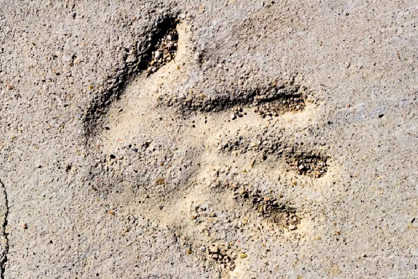 மனிதர்களுக்கு ஏழாவது அறிவு இருப்பது உண்மையா? விஞ்ஞானிகள் சொல்வதென்ன! | Human S Hidden Seventh Sense Remote Touch Identify மனிதர்களுக்கு ஏழாவது அறிவு இருப்பது உண்மையா? விஞ்ஞானிகள் சொல்வதென்ன! | Human S Hidden Seventh Sense Remote Touch Identify