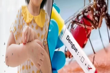 சிறுவர்களிடையே தீவிரமடையும் டெங்கு ; 48 மணி நேரத்துக்கு மேல் காய்ச்சல் நீடித்தால் உடனடி சிகிச்சை அவசியம்