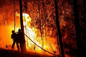 900 தீயணைப்பு வீரர்கள் போராட்டம்: தெற்கு பிரான்சை விழுங்கும் காட்டுத்தீ