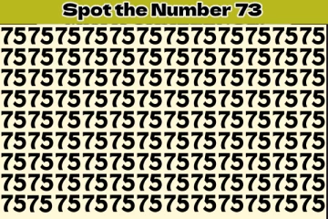 Optical illusion: கண்களை மாயமாக்கி மயக்கும் படத்தில் '57' எண்ணிற்குள் '73' எங்கே உள்ளது?