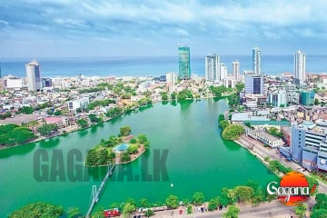 අම්මෝ බේරේ වැවේ ගද නහයක් තියන් ඉන්න බෑ හෝටලුත් වහලා යනවා මිනිස්සු