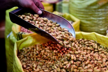 ஈரானிலிருந்து பிஸ்தா இறக்குமதிக்கு கனடா தடை