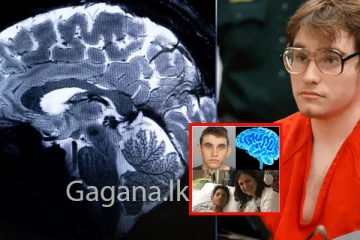 සමූල ඝාතකයෙකුගේ මොළය දන්දෙයි.- මොකක්ද ඒ කරන්න යන්නේ? - (VIDEO)