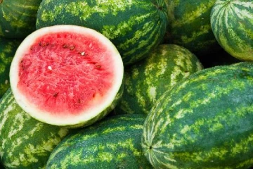 சென்னையில் உள்ள தர்பூசணி பழங்களில் கலப்படமா? உணவுப் பாதுகாப்புத் துறை அதிகாரி விளக்கம்