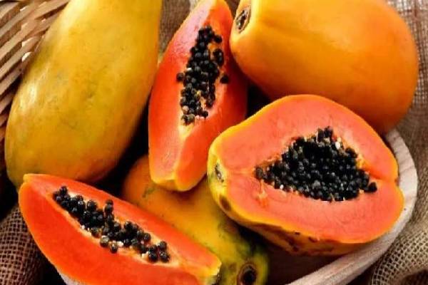 தினமும் காலையில் பப்பாளி சாப்பிடுபவர்கள் இதை கண்டிப்பாக தெரிந்திருக்க வேண்டும் | What Benefits You Get Eating Papaya Every Morning தினமும் காலையில் பப்பாளி சாப்பிடுபவர்கள் இதை கண்டிப்பாக தெரிந்திருக்க வேண்டும் | What Benefits You Get Eating Papaya Every Morning