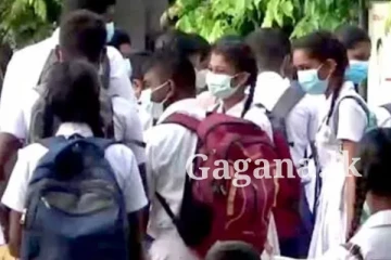 සාමාන්‍ය පෙළ 10 වසරට?. උසස් පෙළ?.