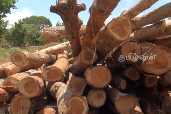 சட்டவிரோதமாக தேக்கு மரக்குற்றிகளை ஏற்றிச் சென்ற நால்வர் கைது | Sri Lanka Police Teak Tree Trunk