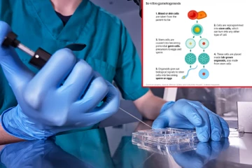 ஆய்வகத்தில் மனித விந்தணு, கருமுட்டை உருவாக்க முடியும் - விஞ்ஞானிகள் ஆச்சரியம்
