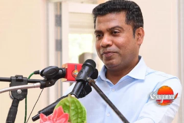 අධ්‍යාපන ප්‍රතිසංස්කරණයට පෙර සජිත්ගේ ඔලුව පරීක්ෂා කරගන්න - නලින්ද