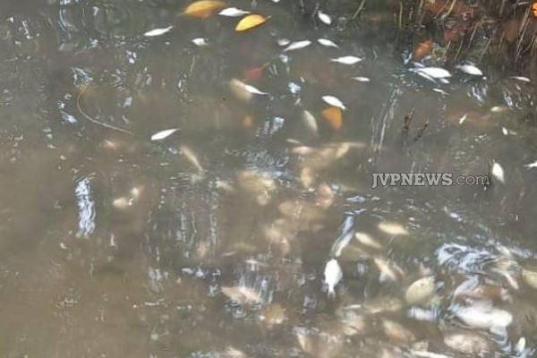 வாகரை - வட்டவானில் கவலையை ஏற்படுத்திய சம்பவம்! அதிர்ச்சி புகைப்படங்கள் | Batticaloa A Worrying Incident In Vakarai