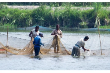 மீன் பிடிக்க சென்ற தந்தையும் மகனும்; ஒரே வீட்டில் இருவர் உயிரிழப்பு
