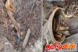 யாழ்.மண்டைதீவு கிரிக்கெட் மைதான காணியில் T-56 ரவைகள் மீட்பு