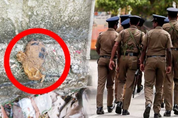 வவுனியாவில் கைக்குண்டு மீட்பு: பொலிஸார் விசாரணை