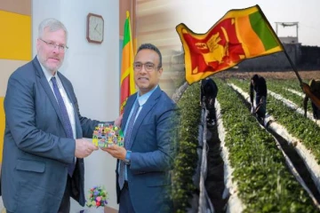 இலங்கையர்களுக்கு இஸ்ரேலில் வேலை வாய்ப்பு பெறுவதில் நெருக்கடி : அமைச்சர் வெளியிட்ட தகவல்