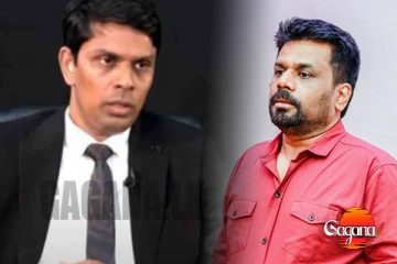 ජනපති චන්දෙට කලින් ඩයස්පෝරාව හම්බෙලා- මන්ත්‍රී අර්චුනාගෙන් ආන්දෝලනාත්මක ප්‍රකාශයක්