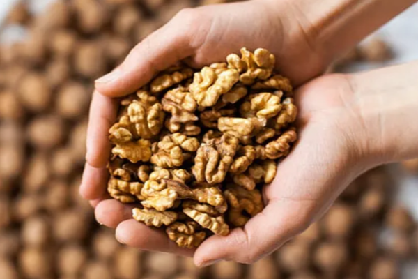 வெறும் வயிற்றில் வால்நட்ஸ் சாப்பிடுவதால் இத்தனை நன்மைகளா? | Walnuts On An Empty Stomach Sapiduvathan Nanmai