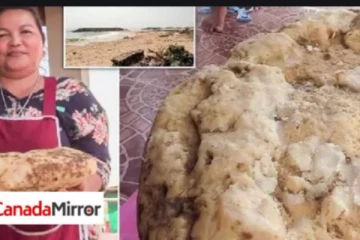 கடற்கரையில் நடந்து சென்ற பெண்ணுக்கு அடித்த அதிர்ஷ்டம்: என்ன தெரியுமா?