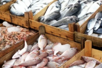 මාළු මිල පහළට..