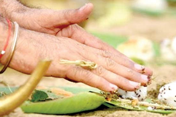 இன்று மாசி அமாவாசை; முன்னோர்களின் ஆசி கிடைக்க இதனை செய்யுங்கள்! | If You Worship Like This On This New Moon Day