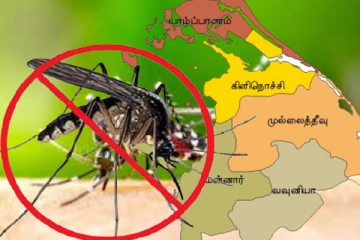 வட மாகாணத்தில் டெங்கு ஒழிப்பு வாரம் இன்று முதல் ஆரம்பம்!
