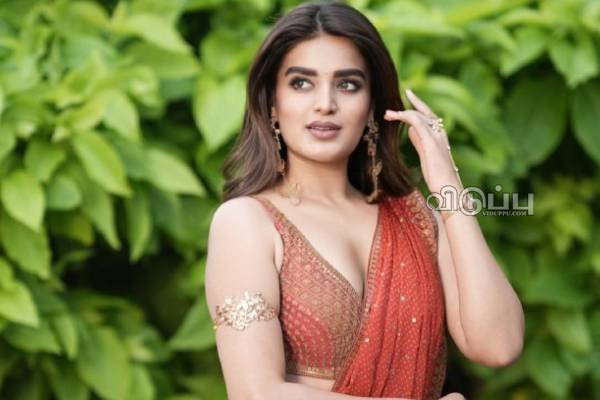32 வயதில் இத்தனை கோடி சொத்துக்கு அதிபதி.. நடிகை நிதி அகர்வால் பிறந்தநாள் ஸ்பெஷல் | Nidhhi Net Worth Details Goes Viral