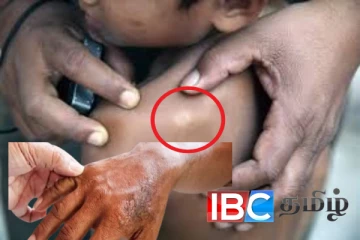 2036 ஆம் ஆண்டுக்குள் நிர்ணயிக்கப்பட்ட இலக்கு