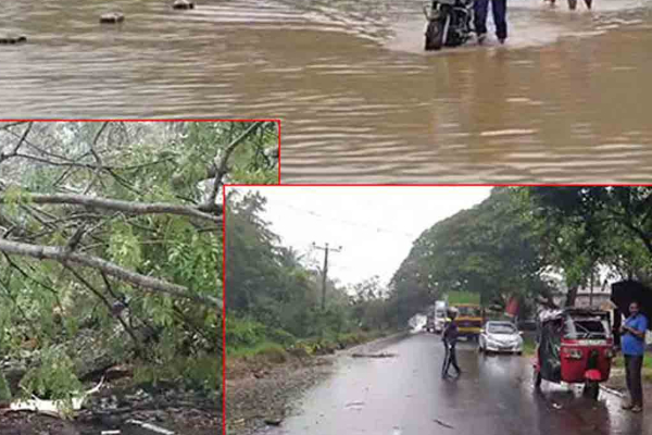 கொழும்பு மாவட்டத்தில் 221க்கும் மேற்பட்ட பகுதிகளில் ஏற்பட்டுள்ள அனர்த்த நிலை | Disaster Situation Areas In Colombo District கொழும்பு மாவட்டத்தில் 221க்கும் மேற்பட்ட பகுதிகளில் ஏற்பட்டுள்ள அனர்த்த நிலை | Disaster Situation Areas In Colombo District