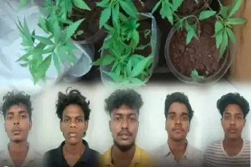 வாடகைக்கு வீடு எடுத்து கஞ்சா செடி வளர்த்த மாணவர்கள் - சோதனையில் ஷாக்!