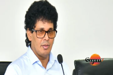 හාල් වෙනුවෙන් වසන්ත ඇමති ගේමට බහි