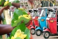 பதுளை பகுதியில் மிகவும் கவனம் ஈர்த்த வித்தியாசமான தானசாலை