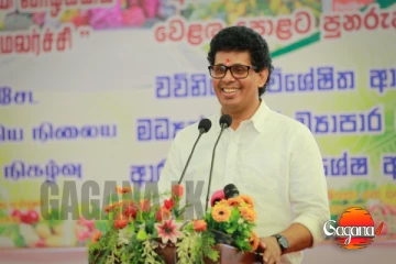 නාමල්ට ලැබුණ දේපල ඔක්කොම බිරිඳගෙන්ද ලැබුණේ? ඇමති වසන්තට ප්‍රශ්නයක්