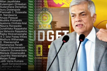 இடைக்கால வரவு - செலவுத் திட்டம் 115 மேலதிக வாக்குகளால் நிறைவேறியது