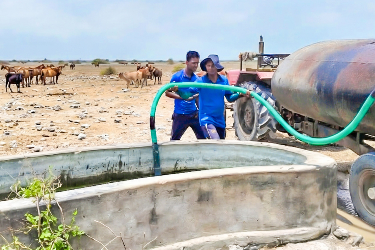வட மாகாணத்தில் கடும் வறட்சி ; தாகம் தீர்க்கும் கடற்படையினர் | Severe Drought In The Northern Province El Nino