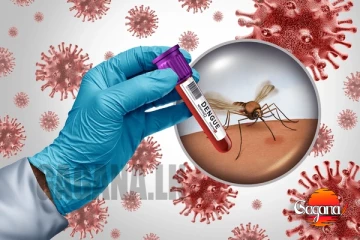 ඩෙංගු රෝගීන්ගෙන් 27%ක් පාසල් දරුවන්