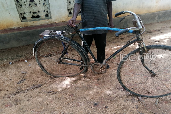 தமிழர் பிரதேசத்தில் அதிகரிக்கும் காட்டு யானைகளின் அட்டகாசம் | Trinco Increasing Elephant Poaching தமிழர் பிரதேசத்தில் அதிகரிக்கும் காட்டு யானைகளின் அட்டகாசம் | Trinco Increasing Elephant Poaching