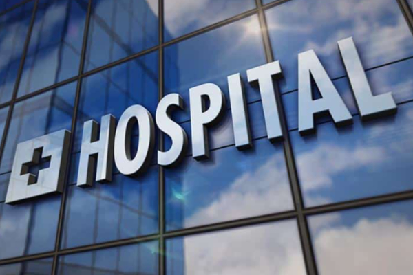 குளவி கொட்டி கணவன் மரணம் மனைவி வைத்தியசாலையில் | Husband Dies Stung By A Wasp Wife Hospitalized