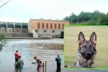 ஆற்றில் தவறி விழுந்த 80 வயதான முதியவர்;கண்டுபிடித்த பொலிஸ் நாய்