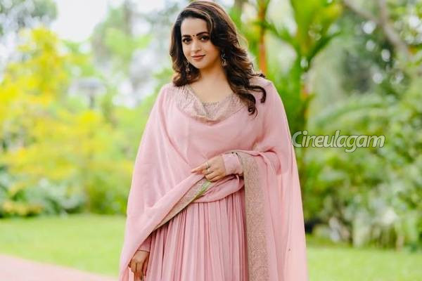 திருமண நாளில் கணவருடன் எடுத்த போட்டோவை வெளியிட்ட நடிகை பாவனா... குவியும் லைக்ஸ் | Actress Bhavana Menon Wedding Anniversary Celeb