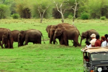 දින 06ක් තුළ යාලෙන් රටටම සුබ පණිවුඩයක් ලැබෙයි..සිදුවූ වාර්තාගත දේ මෙන්න..