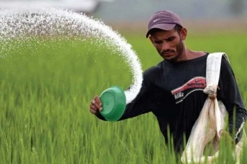 150,000 மெட்ரிக் தொன் யூரியா உரத்தை இறக்குமதி செய்ய திட்டம்