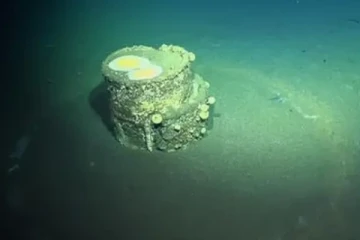 கடற்கரையில் கண்டெடுக்கப்பட்ட மர்ம பீப்பாய்கள்: வெளிவந்த உறைய வைக்கும் உண்மை