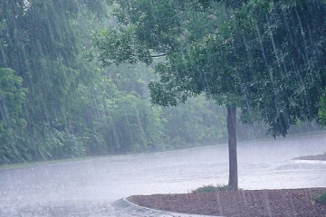 வடக்கு  முழுவதும் பரவலாக மழைக்கு வாய்ப்பு!