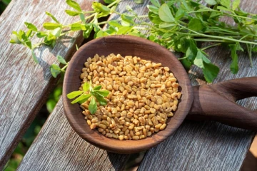 ஒரு கையளவு முளைக்கட்டிய வெந்தயத்தை சாப்பிட்டால் என்ன நடக்கும் தெரியுமா