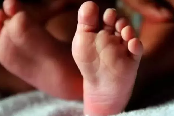 கைவிடப்பட்ட நிலையில் மீட்கப்பட்ட ஒரு மாத பெண் குழந்தை | One Month Baby Girl Rescued From Abandoned State