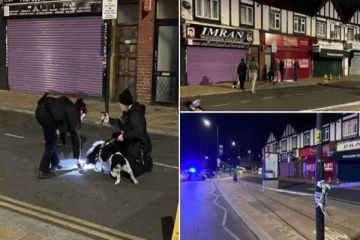 லண்டனில் பயங்கரம்! இளைஞர்கள் மீது துப்பாக்கிச் சூடு கத்திக்குத்து தாக்குதல்