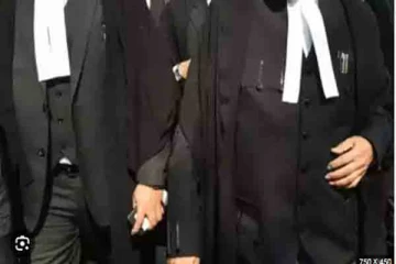 பெண் வழக்கறிஞர் கொலை ; சாரதிக்கு பிணை