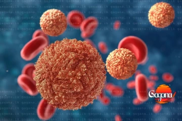 හිස ඔසවන මාරාන්තික ලෙඩක් - මරණ 22ක්