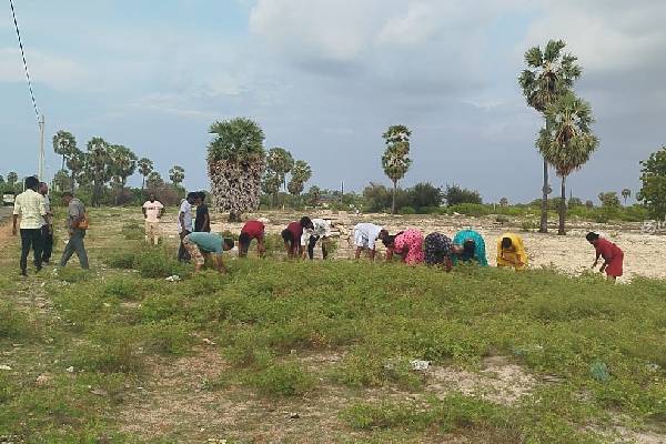 உடுத்துறை மாவீரர் துயிலுமில்ல பிரச்சினைகள் குறித்து எழுந்துள்ள விசனம் | Various Problems Uduthurai Maveerar Thuyilumillam