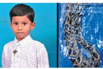 தன் காலை கடித்த பாம்புடன் சிகிச்சைக்கு வந்த 7 வயது சிறுவன் : மருத்துவமனையில் அலறிய நோயாளிகள்!